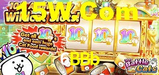 Premium Interface 6BBb